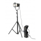 NanLite Forza 300 bi-color LED Light