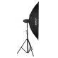 NanLite Forza 300 bi-color LED Light