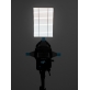 NanLite Projection Attachment mount for FZ-60 (w/ 19 degree lens)