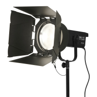 Nanlite FS-300B Bi-color LED Light