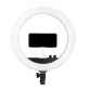 NanLite HALO 14 LED Ringlight