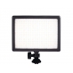 Nanguang Pavolite RGB-66