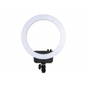 Venus V29C Nanguang Ring Light bi-color me...