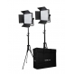 NanLite 600CSA bi-color dual kit (w/ case & light stand)