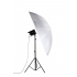 NanLite Umbrella Shallow Translucent 180cm